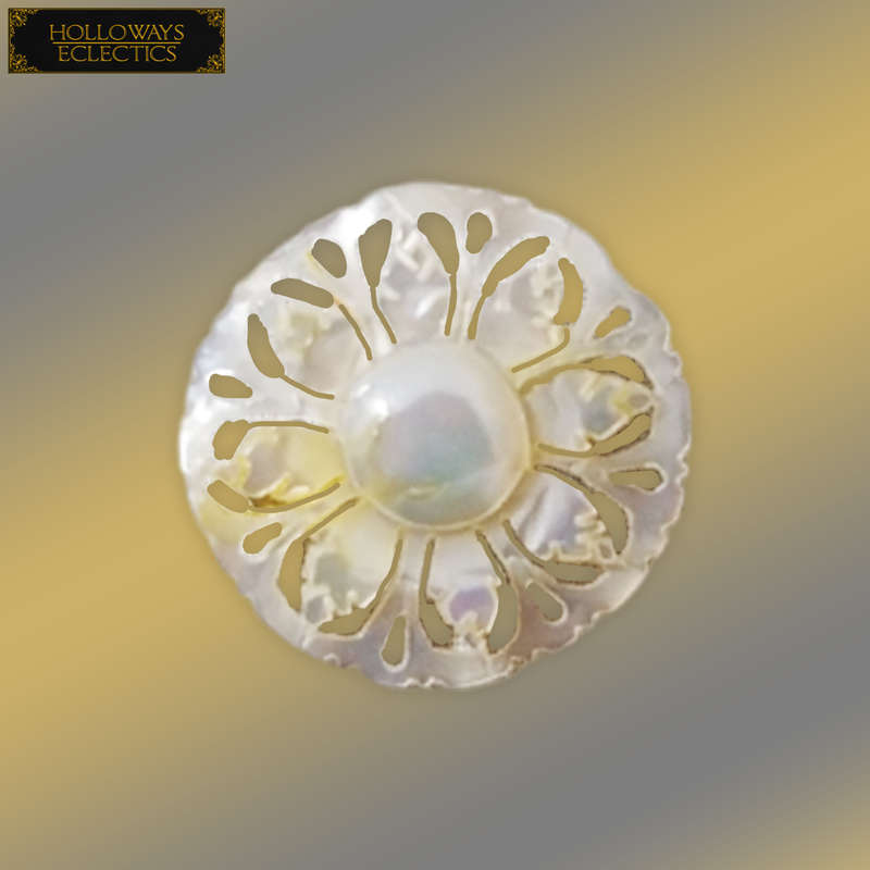 Vintage Mother Of Pearl Necklace And Brooch