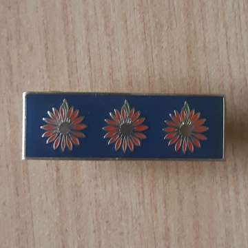 Northen Transvaal Command, Command Bar With Both Pins In Place