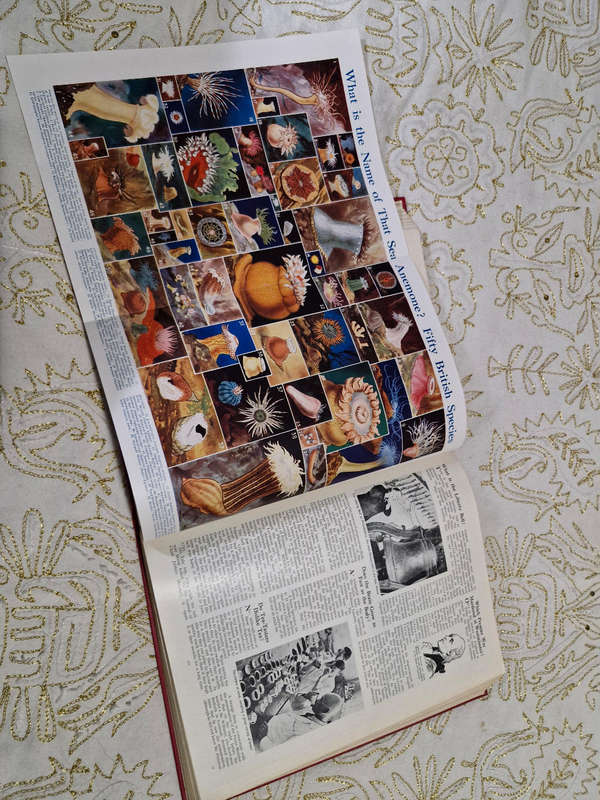 Everybodys enquire within edited by Charles Ray