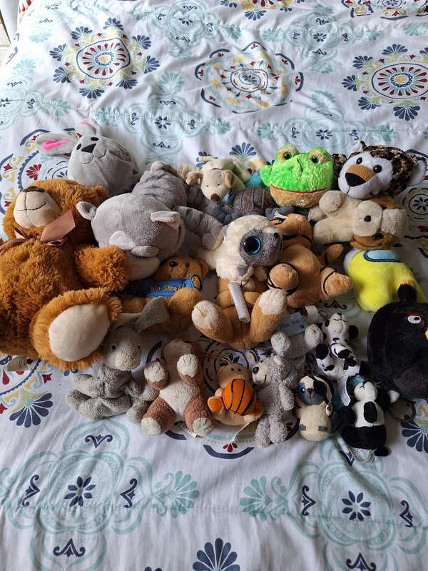 Fluffy stuffed toys collection plush