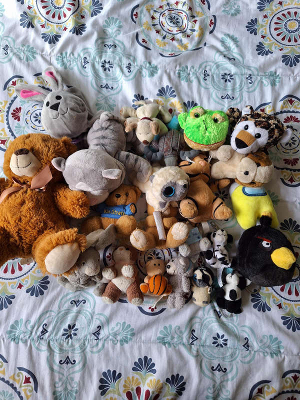 Fluffy stuffed toys collection plush