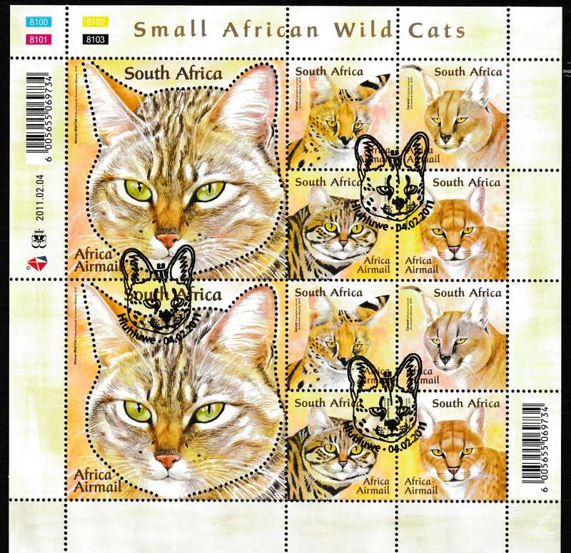 RSA 2011 SMALL AFRICAN WILD CATS