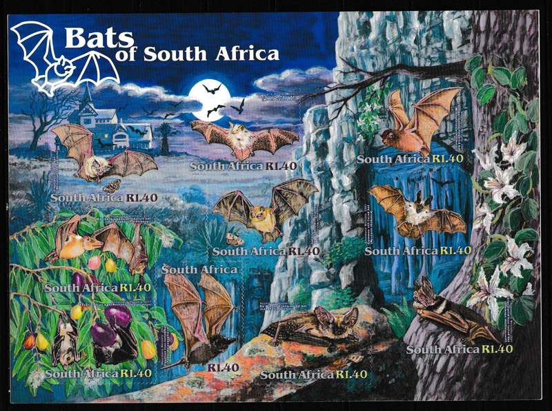 RSA BATS OF SOUTH AFRICA