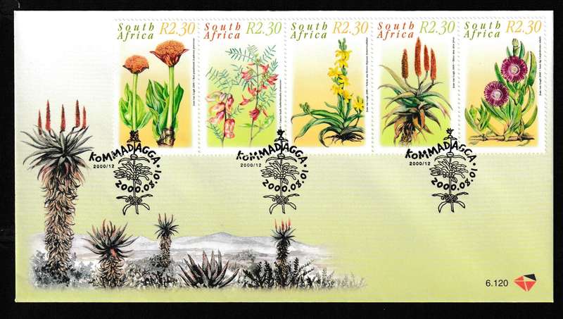 RSA 2000 MEDICINAL PLANTS FDC