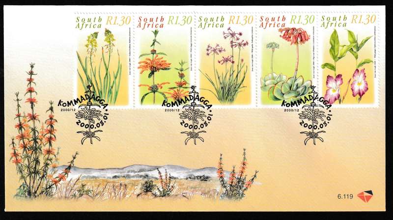 RSA 2000 MEDICINAL PLANTS FDC