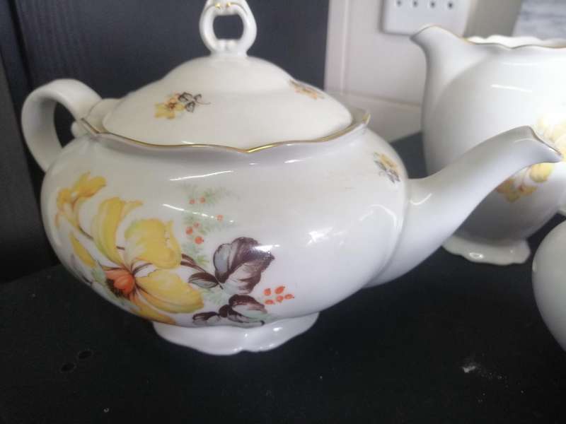 Antique Czechoslovakian Haas porcelain tea set 1918-1938