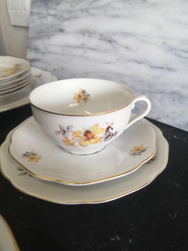 Antique Czechoslovakian Haas porcelain tea set 1918-1938