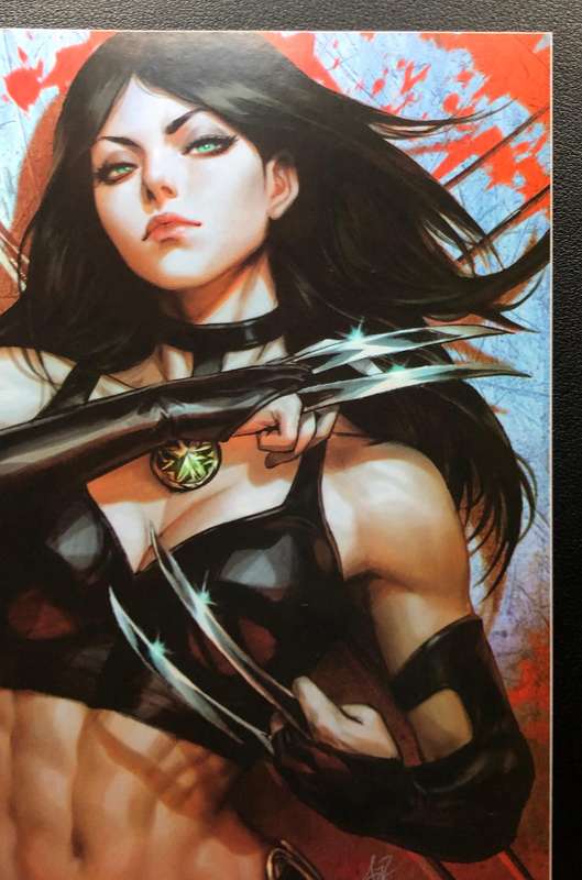 NYX/Laura Kinney: Wolverine Comic Book Combo
