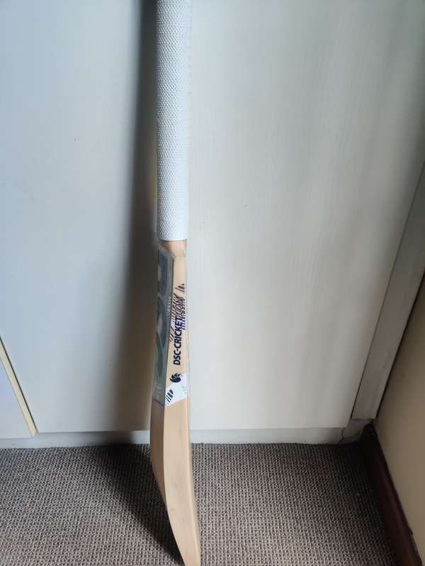 DSC Condor Cricket bat