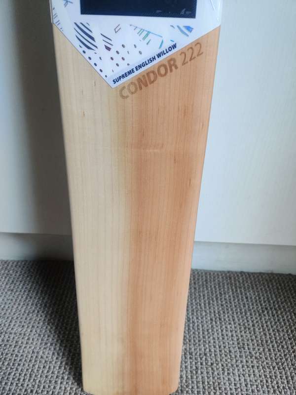 DSC Condor Cricket bat