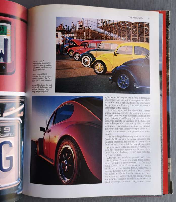 Beetle Mania