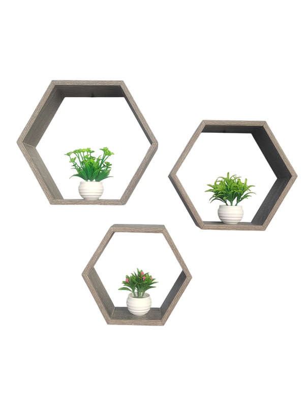 Set of 3 Solid Hexagonal Wall Shelves  Modern Floating Shelves