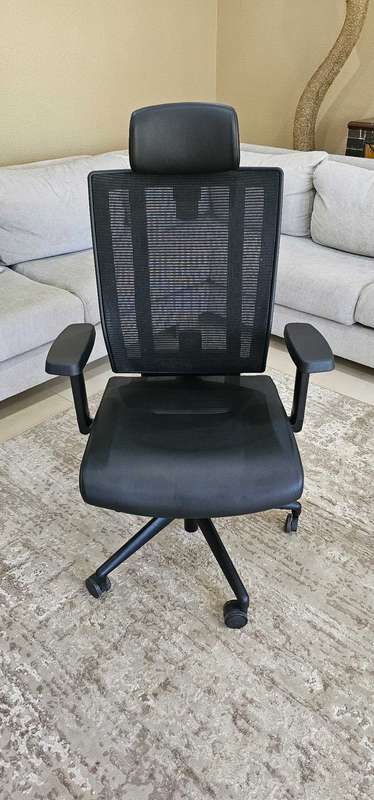 ORIGINAL Ergotherapy Net one  office chair
