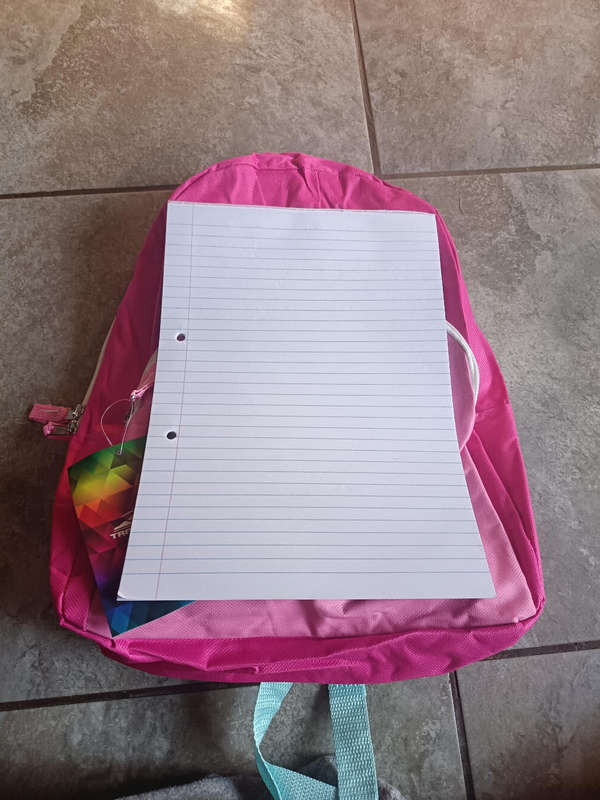 Dark pink and light pink Backpack (Trailmaker)