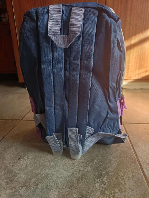 Shades of purple Backpack (Trailmaker)