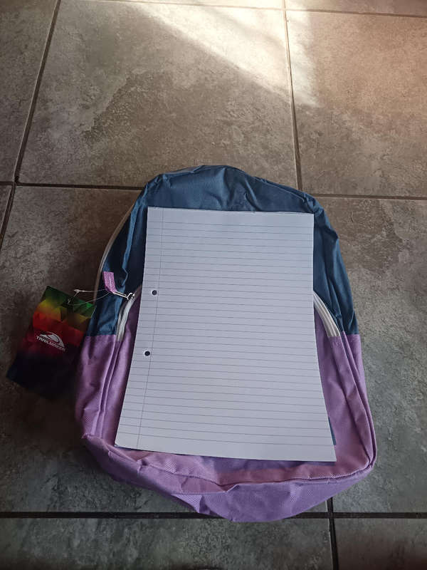 Shades of purple Backpack (Trailmaker)