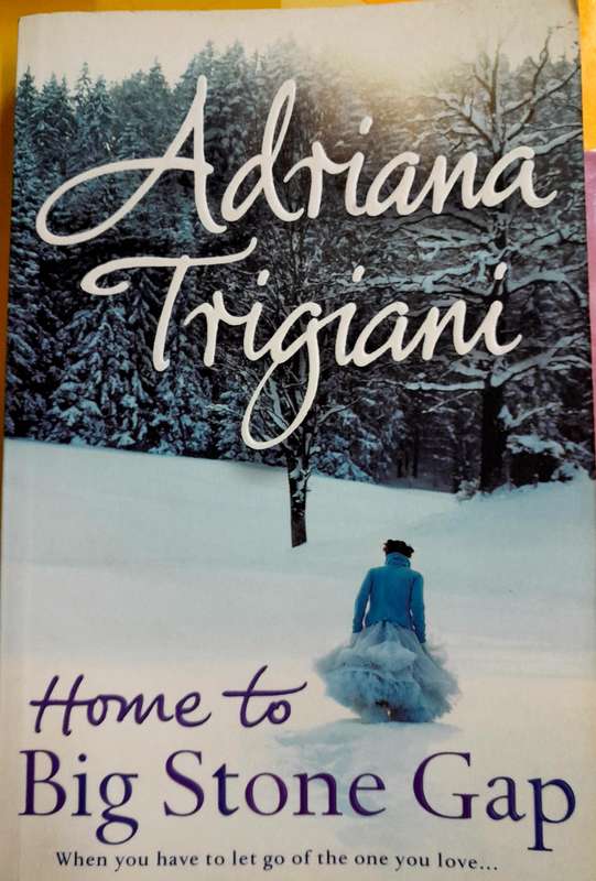 Home to Big Stone Gap by Adriana Trigiani