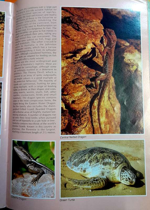 Wildlife of Australia