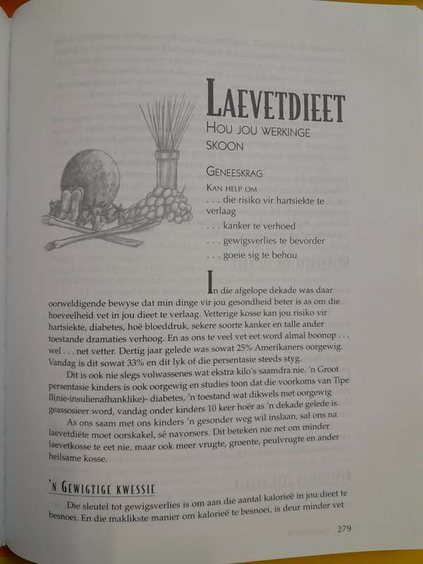 Die Doktersboek van Kosse wat Heel deur Selene Yeager