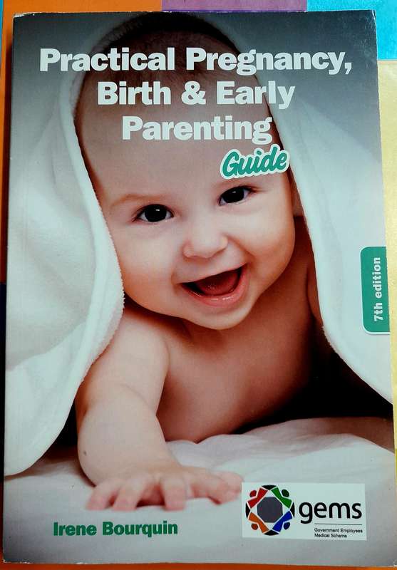 Practical Pregnancy, Birth and Early Parenting by Irene Bourquin