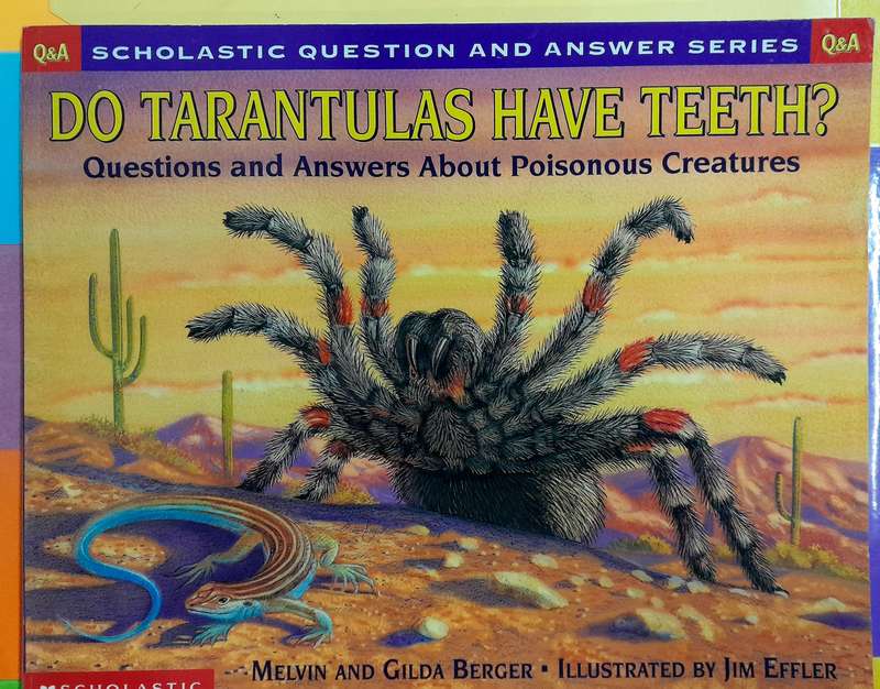 Do Tarantulas have teeth Questions and Answers about poisonous creatures
