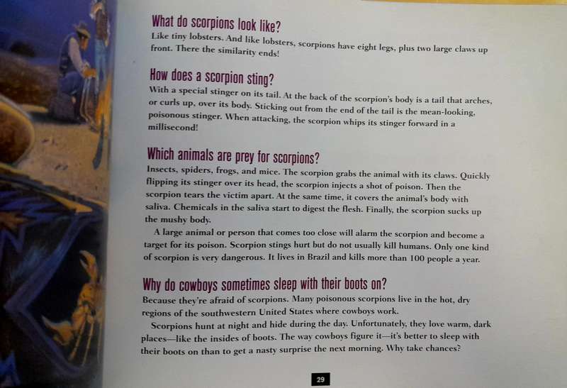 Do Tarantulas have teeth Questions and Answers about poisonous creatures