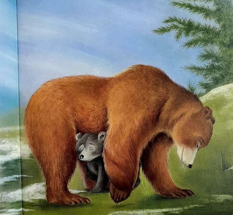 Mummy's Little Bear by Gemma Cary