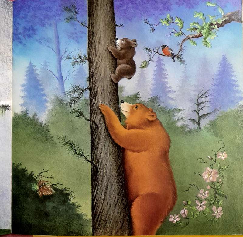 Mummy's Little Bear by Gemma Cary
