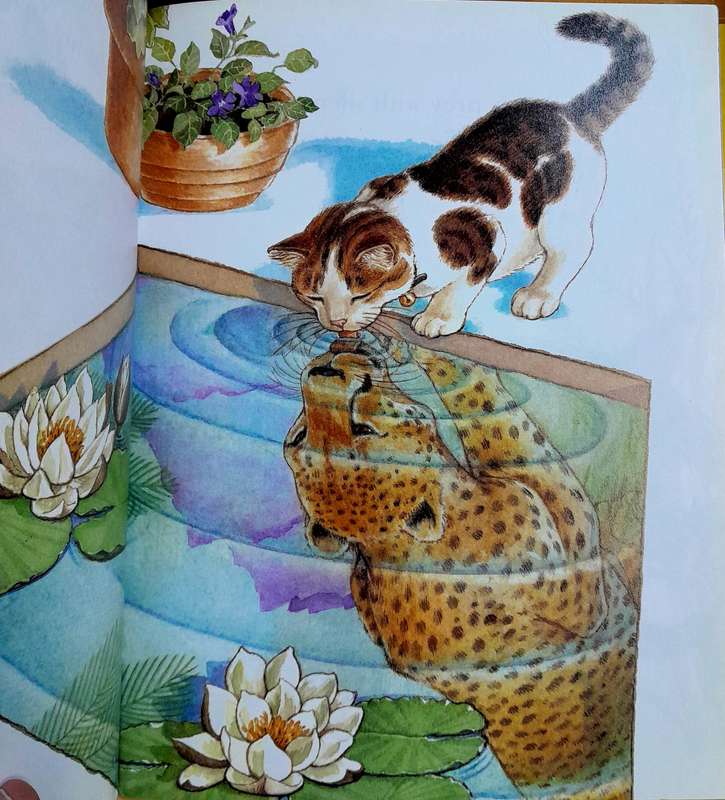 Tabby the Wild Cat by Dana Kubrick