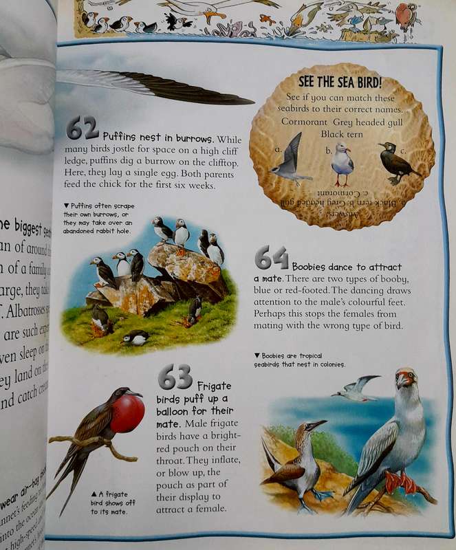 100 Facts Oceans by Miles Kelly