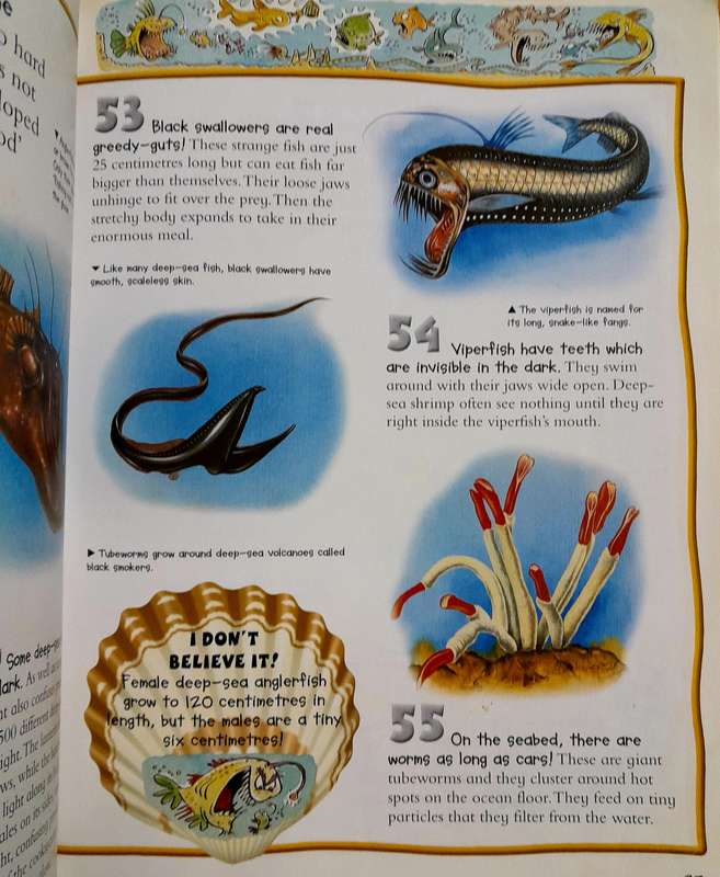 100 Facts Oceans by Miles Kelly