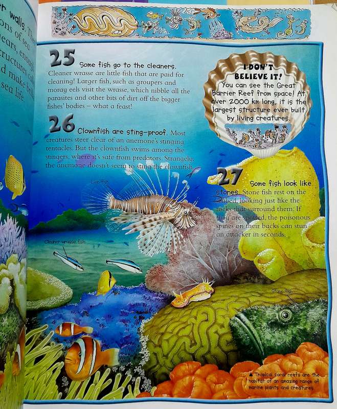 100 Facts Oceans by Miles Kelly