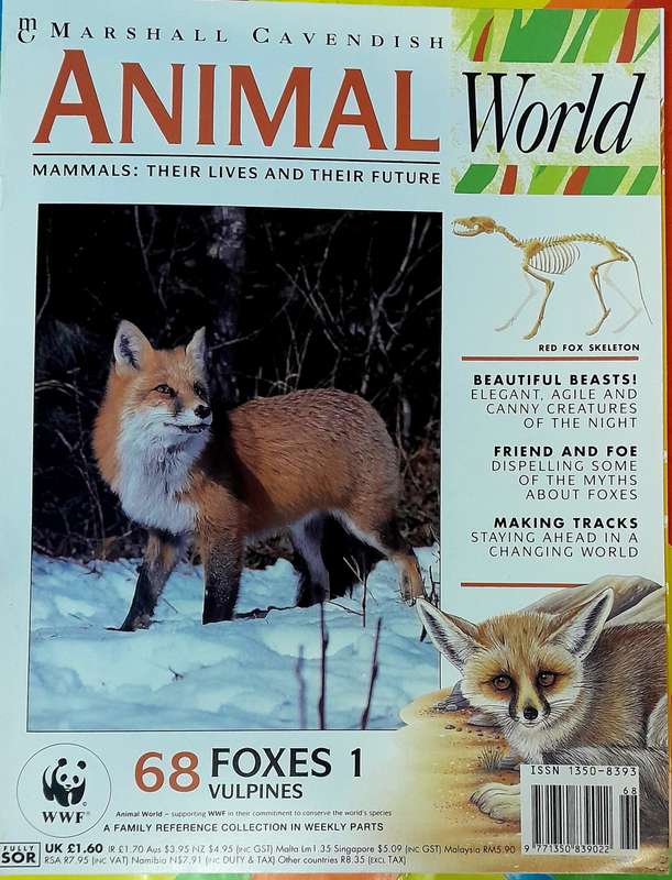 Animal World Number 68 Foxes 1 by Marshall Cavendish