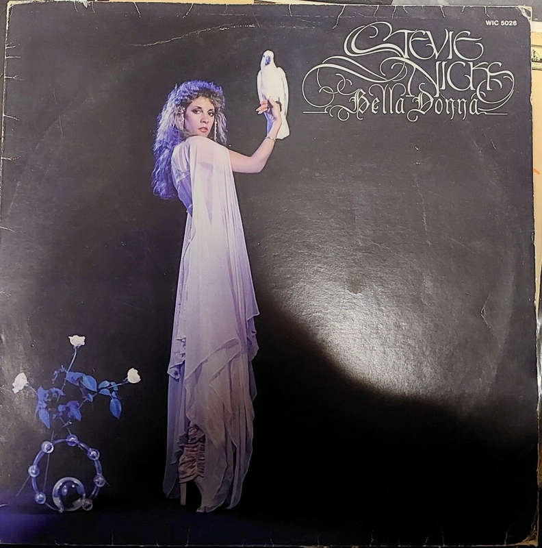 Stevie Nicks