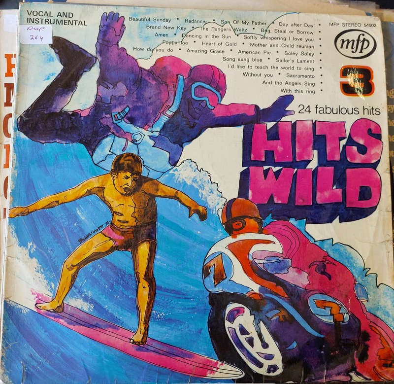 Hits Wild 3