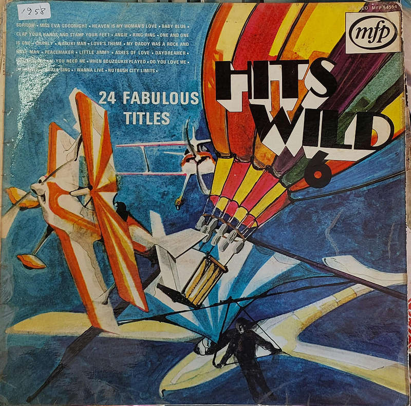 Hits Wild 6