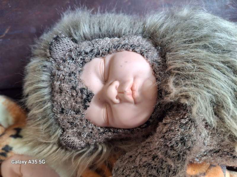 Collectible Anne Geddes Hedgehog Doll