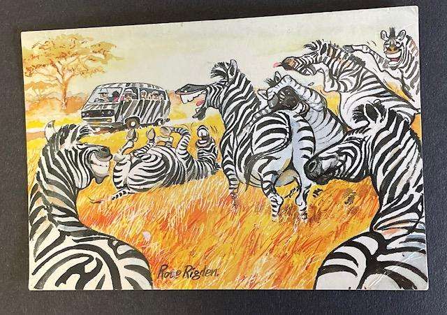 Funny Postcard  - Rose Rigden - 2003 - South Africa