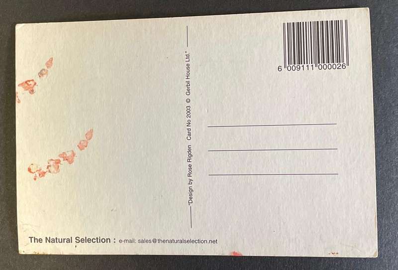 Funny Postcard  - Rose Rigden - 2003 - South Africa