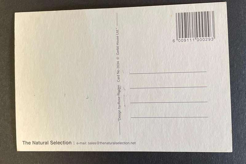 Funny Postcard  - Rose Rigden - 2000 - South Africa