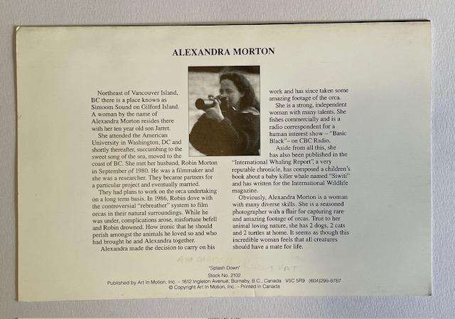 Card - Large - SPLASH DOWN- BEAUTIFUL BLANK CARD - PHOTO - ALEXANDRA MORTON  - CANADA