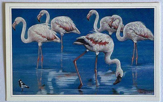 Greeting card "FLAMINGOS - Grace in Pink " - by Lisa Halstead. Greeting card - unused