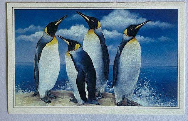 Greeting card "KING PENGUINS - Arctic Grace "  - by Lisa Halstead. Greeting card - unused
