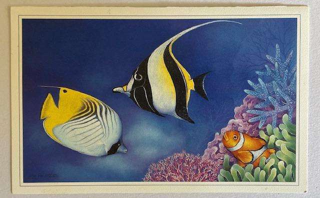 Greeting card  "Clown Fish, Moorish Idol and Butterfly Fish "  - by Lisa Halstead.