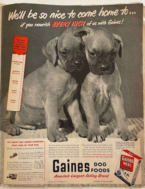 Vintage advertisement - GAINES DOG FOOD - from LOOK Magazine - Sept 1950 34cm x 27cm