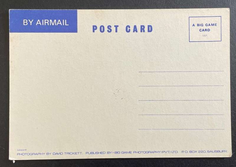Vintage postcard  - LEOPARD - photo by David Trickett - Salisbury, Rhodesia