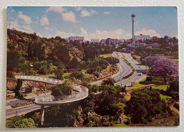 Vintage postcard - THE WILDS - where only SA Flowers are grown - South Africa