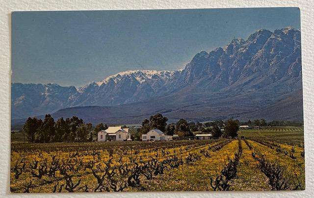 Vintage postcard -  BOLAND SCENE by Cape of Good Hope Savings Bank  *Africana.