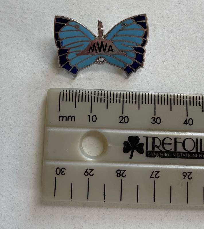 Vintage Badge - Women's Moth Association - made in Pretoria, South Africa. Great condition!