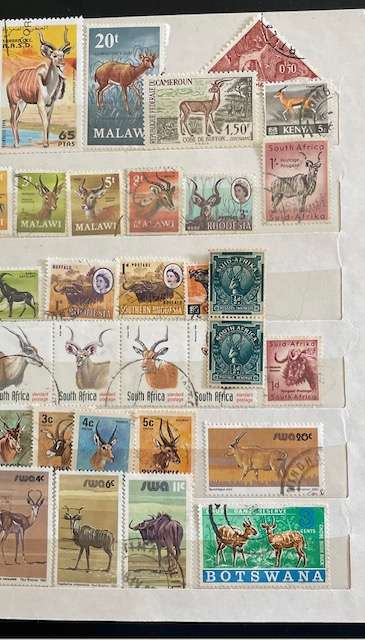 Thematic stamps - African buck, wildebeest and buffalo.